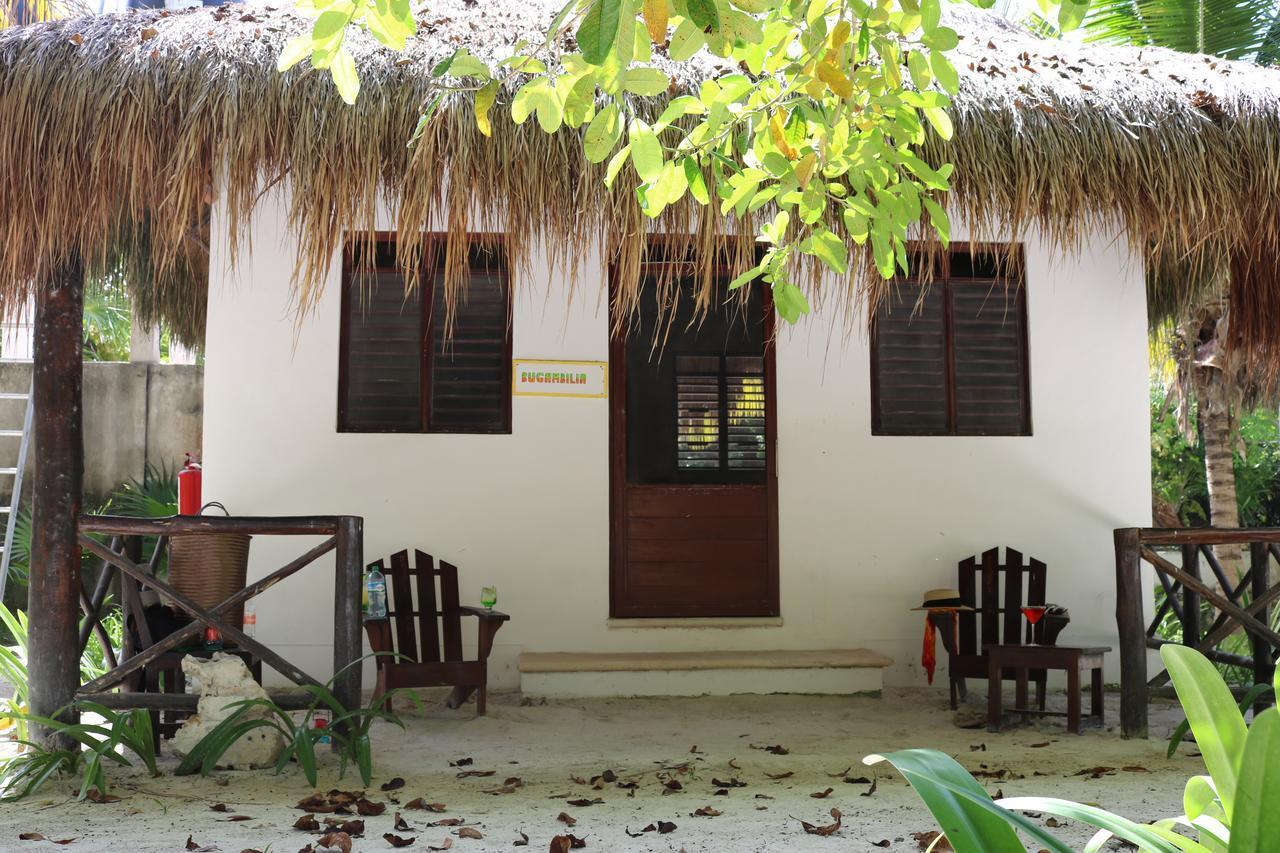 Hotel&cabañas Zazil Kin Hotel Tulum